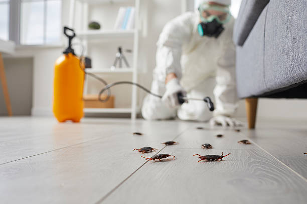 Commercial Kitchen Cockroach Control in Lindon